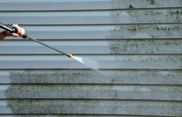 Best Affordable Power Washing  in North Branch, MN
