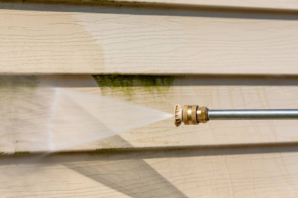 Best Sidewalk Pressure Washing  in North Branch, MN
